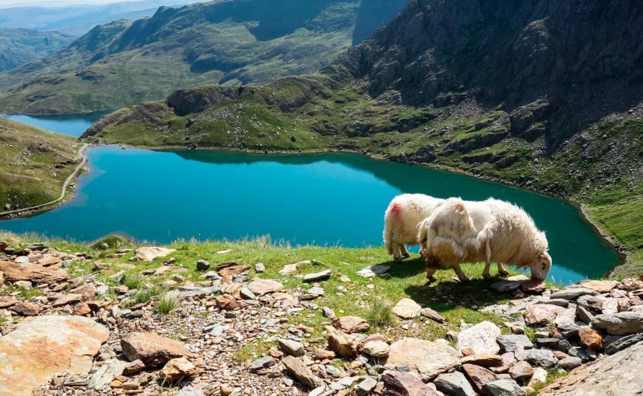 Hafan Y Mor Holiday Park Chwilog Kültér fotó